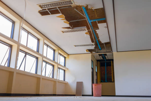Best Carpet water damage restoration  in Fallbrook, CA