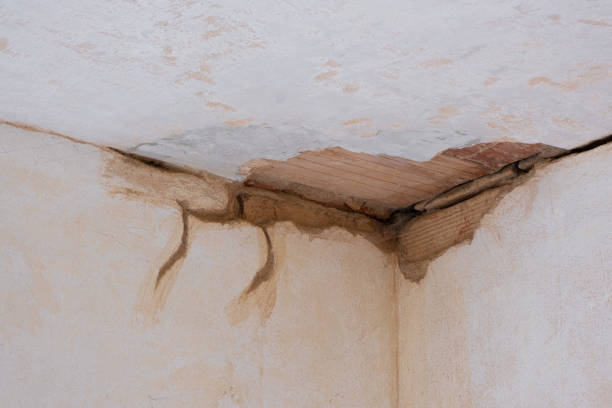 Best Ceiling water damage repair  in Fallbrook, CA