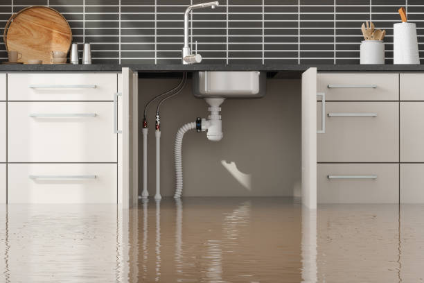 Best Water damage restoration mold remediation  in Fallbrook, CA