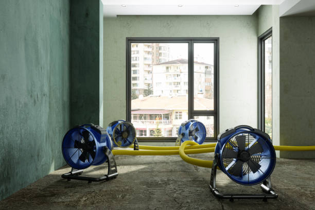 Best Water damage restoration near me  in Fallbrook, CA